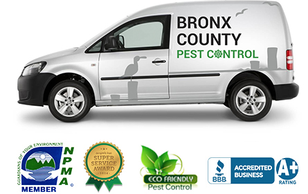 Bronx County Pest Control Van