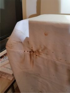 bed bug stains on mattress